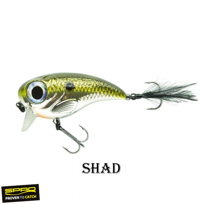 Spro Fat Iris 8.0 CM - Afbeelding 6
