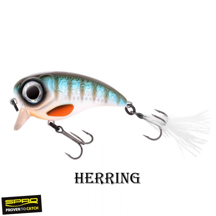 Spro Fat Iris 8.0 CM - Afbeelding 7