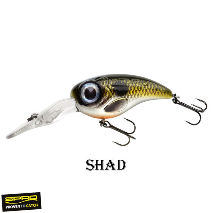 Spro Fat Iris 40 DR - Afbeelding 6