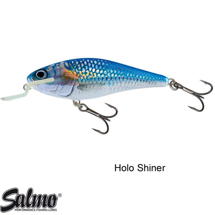 Salmo Executer Shallow Runner Floating 12 CM - Afbeelding 4