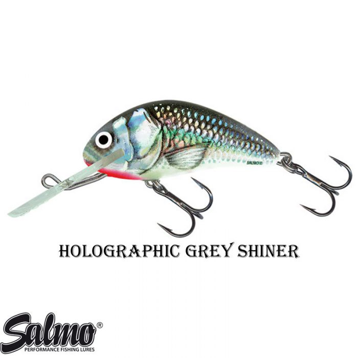 Salmo Hornet Floating 4 CM