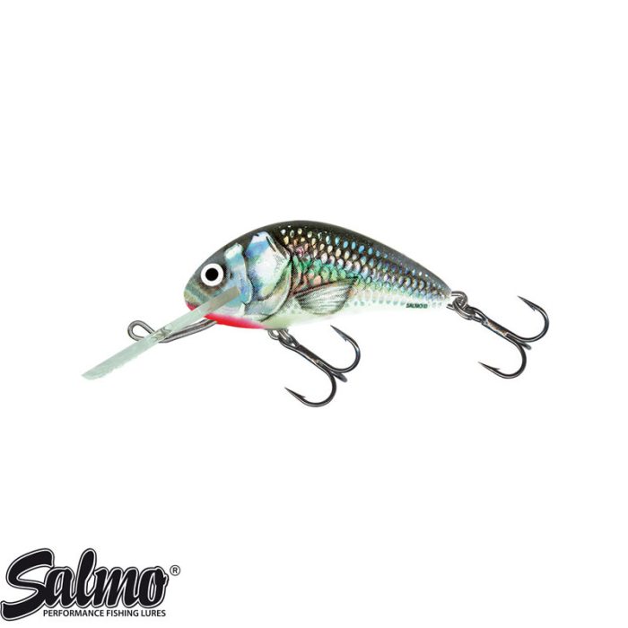 Salmo Hornet Sinking 4 CM - Afbeelding 5