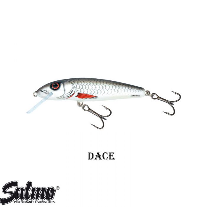 Salmo Minnow Floating 7 CM