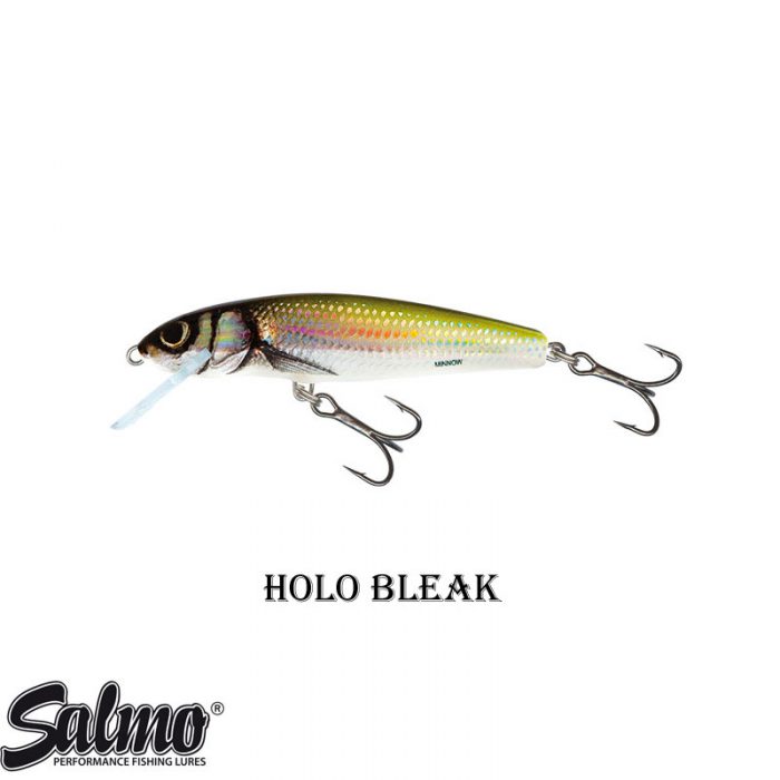 Salmo Minnow Floating 7 CM - Afbeelding 2