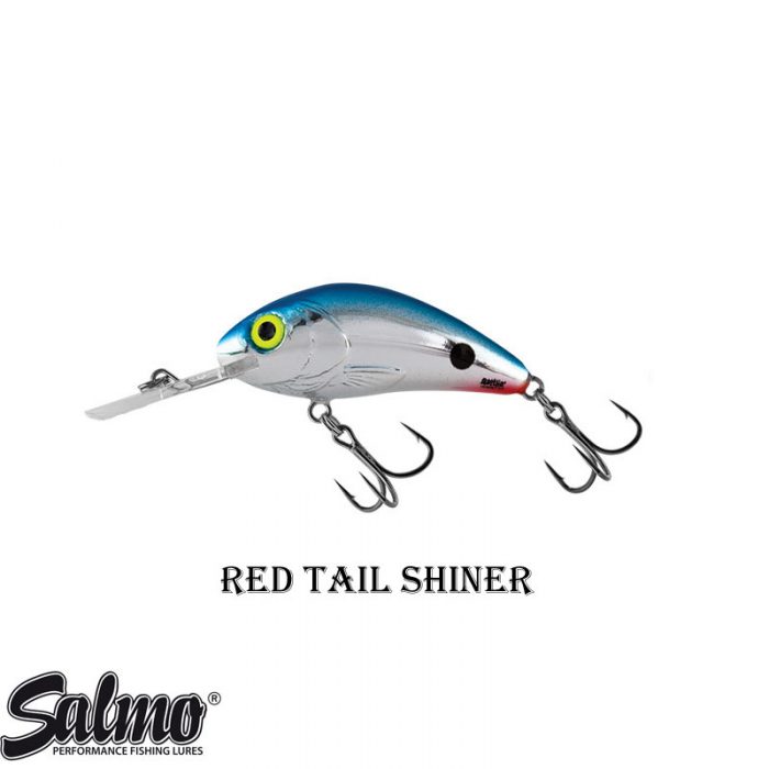 Salmo Rattlin' Hornet Floating 4.5 CM - Afbeelding 4