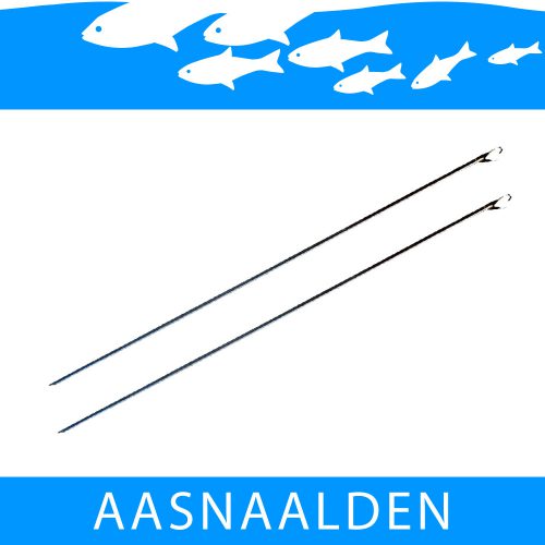 Aasnaalden