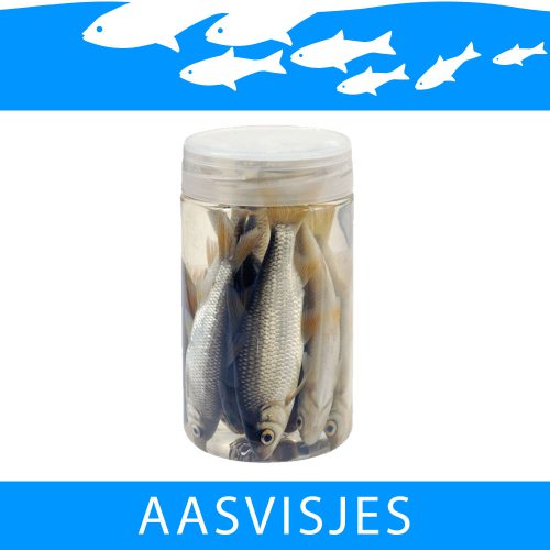 Aasvisjes