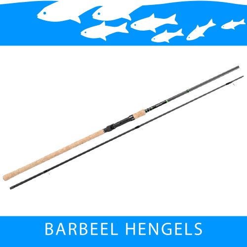 Barbeelhengels