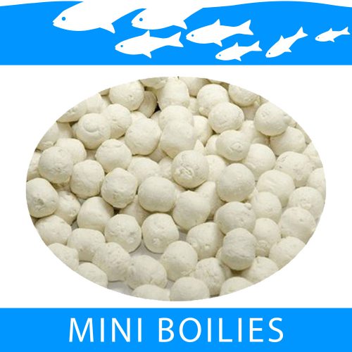 Mini Boilies