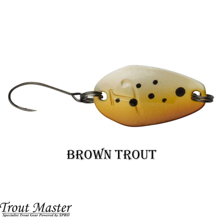 Trout Master Incy Spoon 2.5 Gram - Afbeelding 4