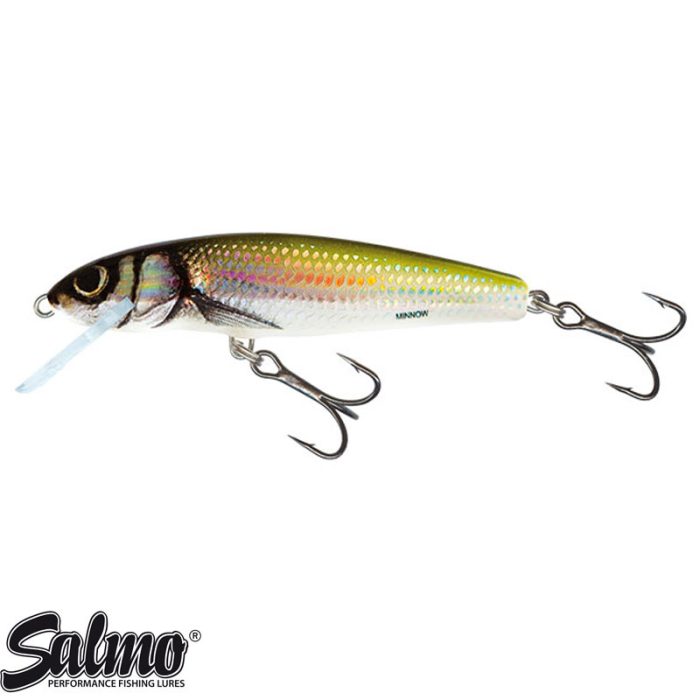 Salmo Sinking Minnow 5cm