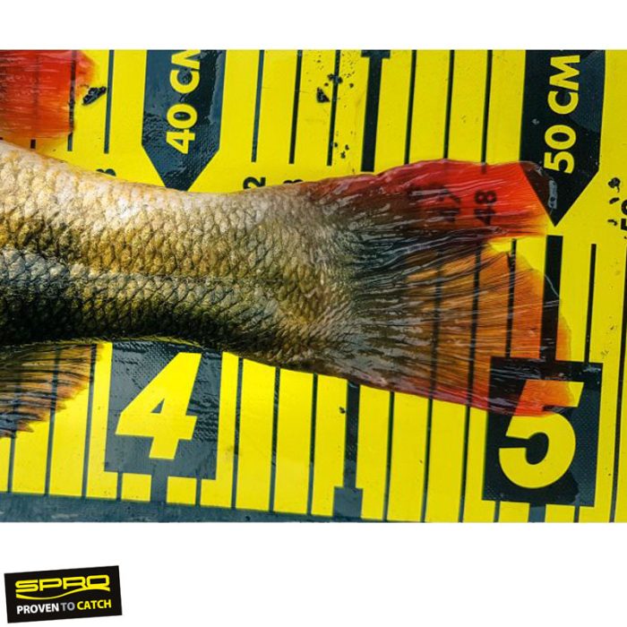 Spro Ruler 130 - Afbeelding 3