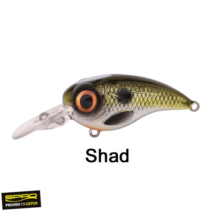 Spro Fat IRIS 50 CR