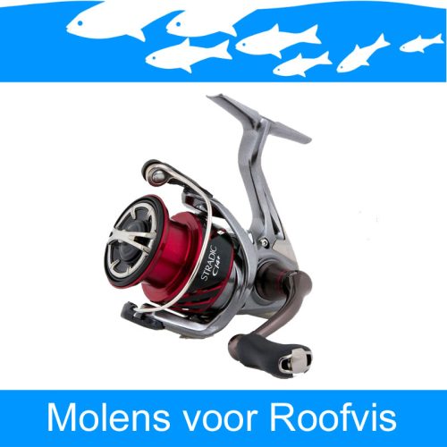 Molens Voor Roofvis