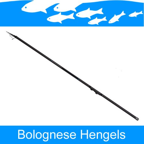 Bolognese Hengels